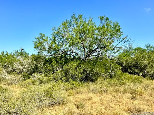 $179,000 | O County Road 116, George West, TX 78022