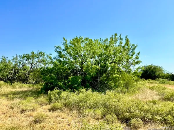 $179,000 | O County Road 116, George West, TX 78022
