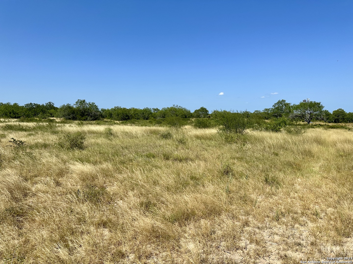 116 County Road 116 George West, TX 78022 - Photo 5 of 47