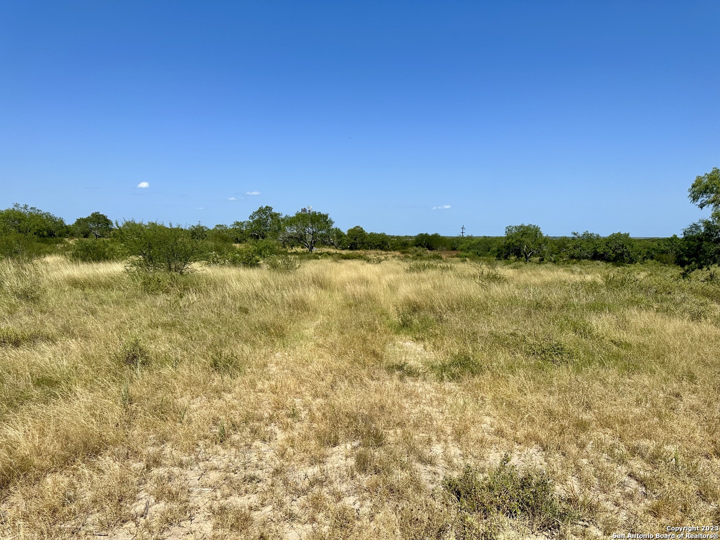 116 County Road 116 George West, TX 78022 - Photo 6 of 47