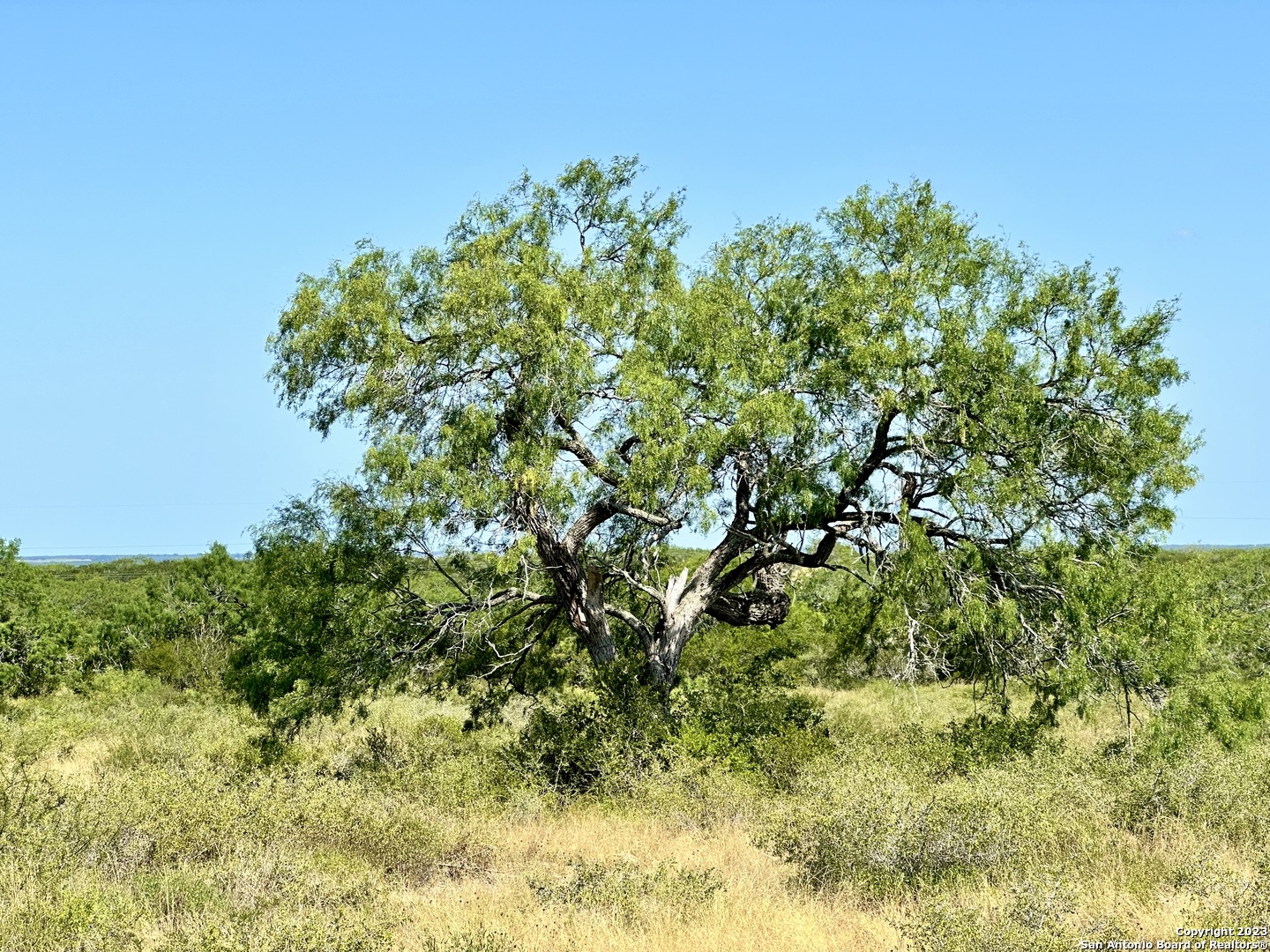 116 County Road 116 George West, TX 78022 - Photo 7 of 47