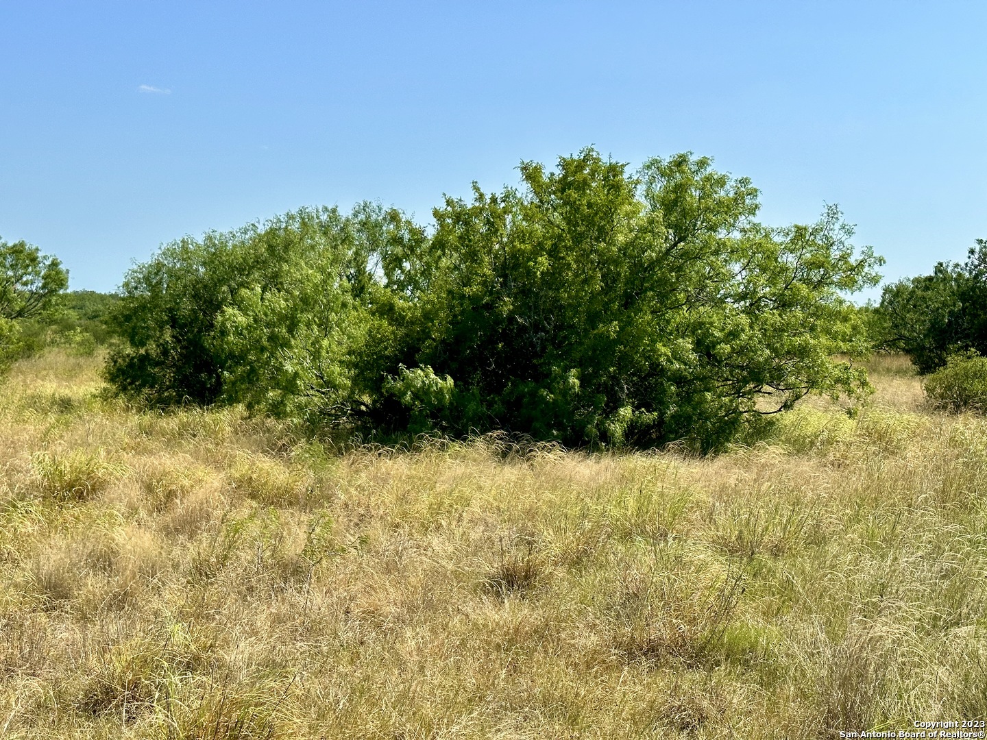 116 County Road 116 George West, TX 78022 - Photo 10 of 47