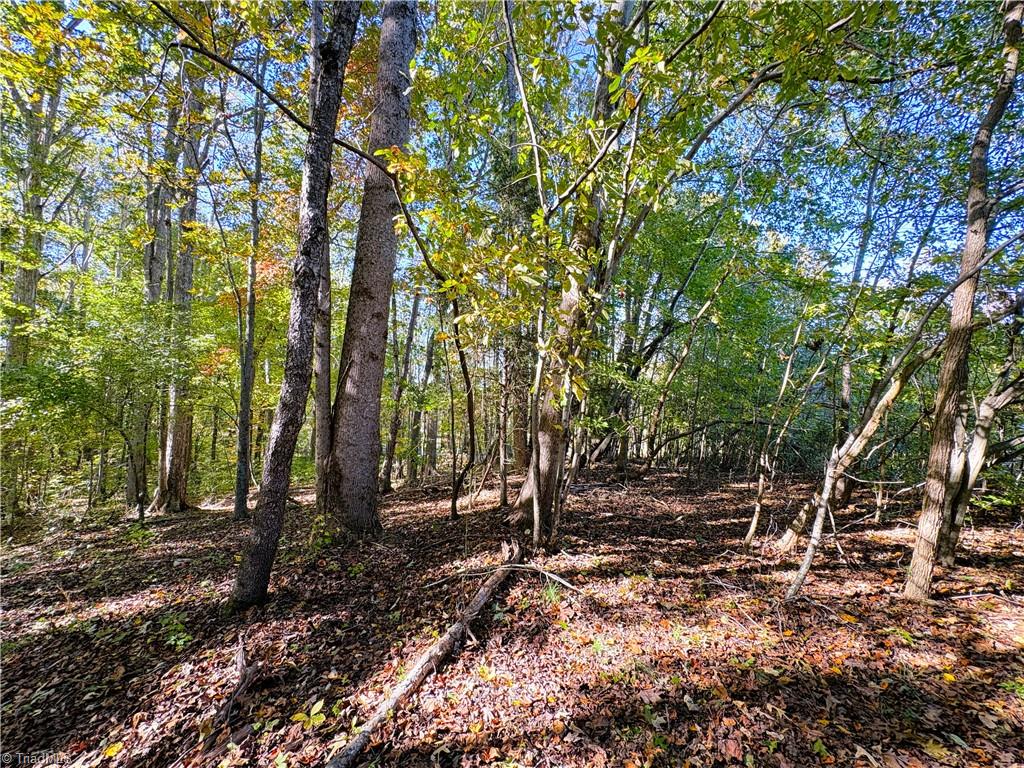 613 Barker Road Summerfield, NC 27358 - Photo 14 of 50