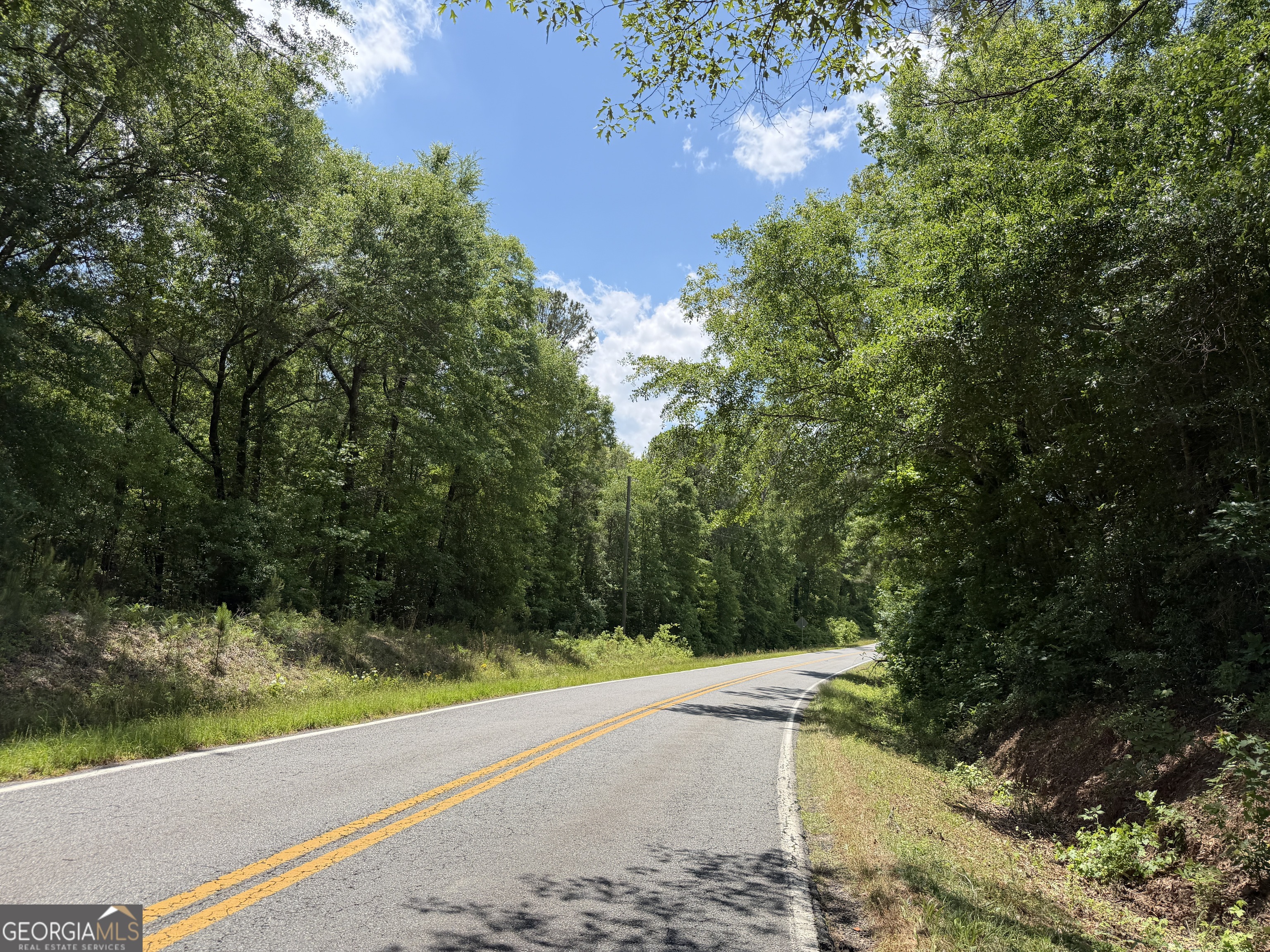 10 Long Branch Road Toomsboro, GA 31090 - Photo 6 of 6