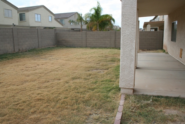 43227 West Magnolia Road Maricopa, AZ 85138 - Photo 18 of 18 backyard