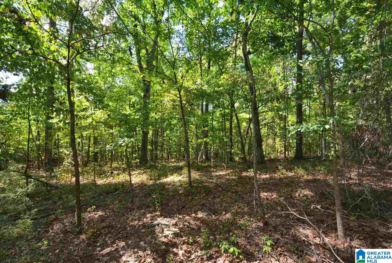 111 Goel Road Birmingham, AL 35244 - Photo 40 of 43 Gallery Image 40