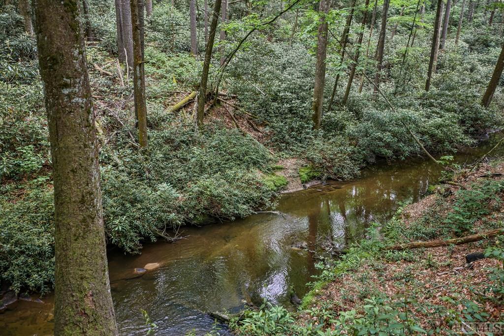 0 Wild River Road Cashiers, NC 28717 - Photo 7 of 13 Gallery Image 7