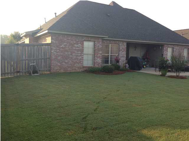 109 Copper Ridge Court Madison, MS 39110 - Photo 12 of 29 Back view of home