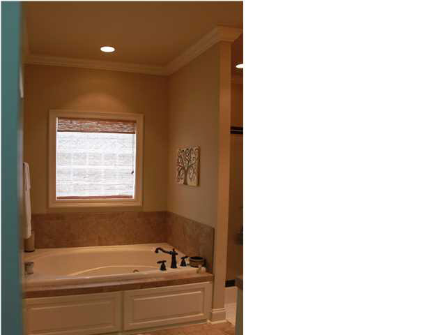 109 Copper Ridge Court Madison, MS 39110 - Photo 19 of 29 Whirlpool Tub & Shower