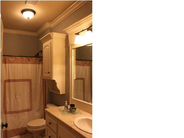 109 Copper Ridge Court Madison, MS 39110 - Photo 9 of 29 Gorgeous guest bath