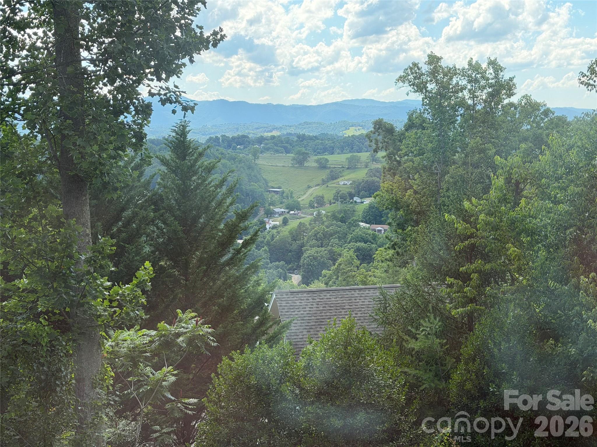65 Buckle Ridge Weaverville, NC 28787 - Photo 2 of 48