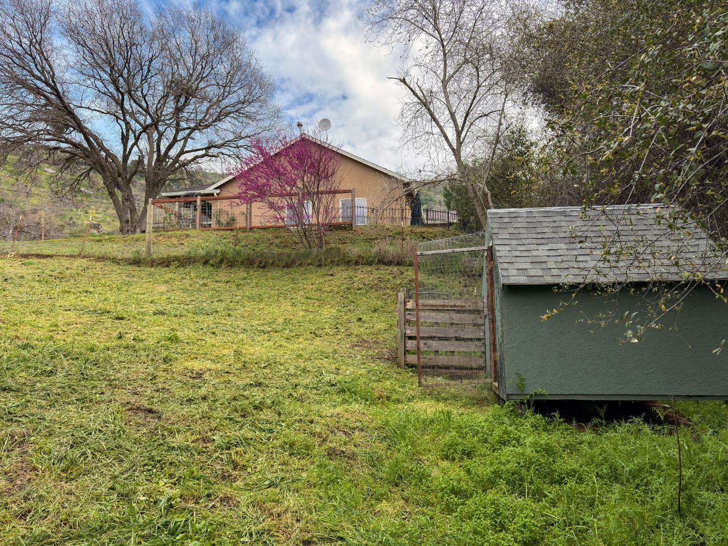 39313 Squaw Valley Road Squaw Valley, CA 93675 - Photo 31 of 38