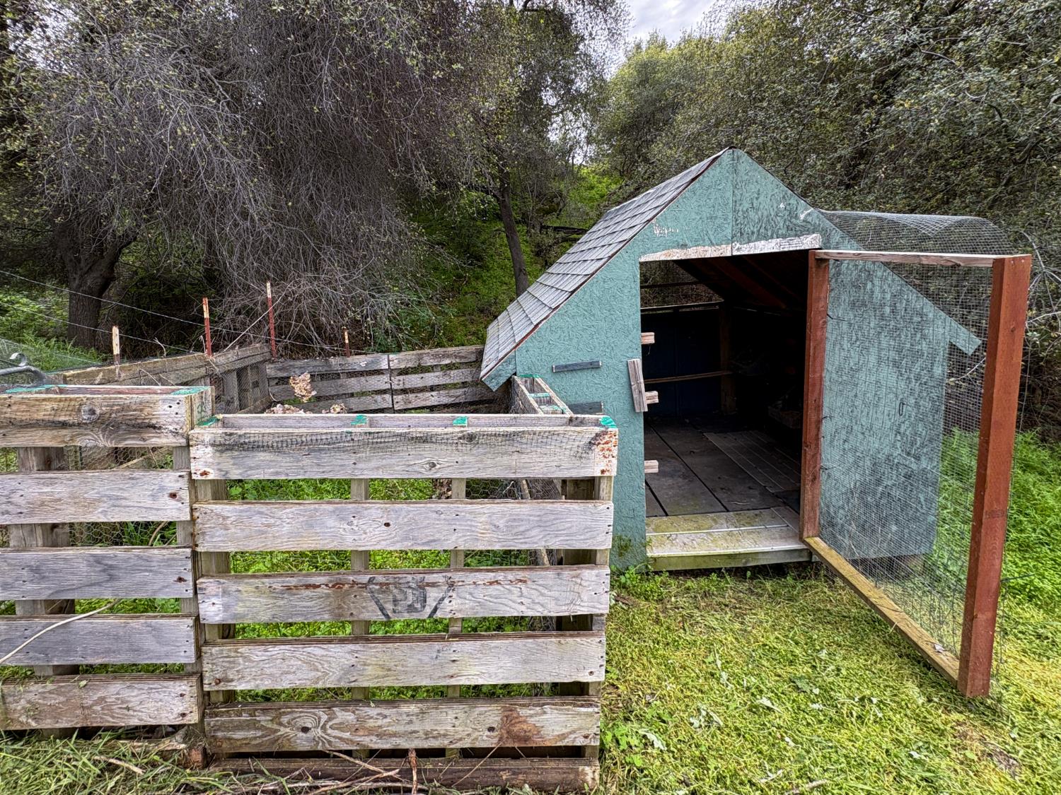 39313 Squaw Valley Road Squaw Valley, CA 93675 - Photo 32 of 38