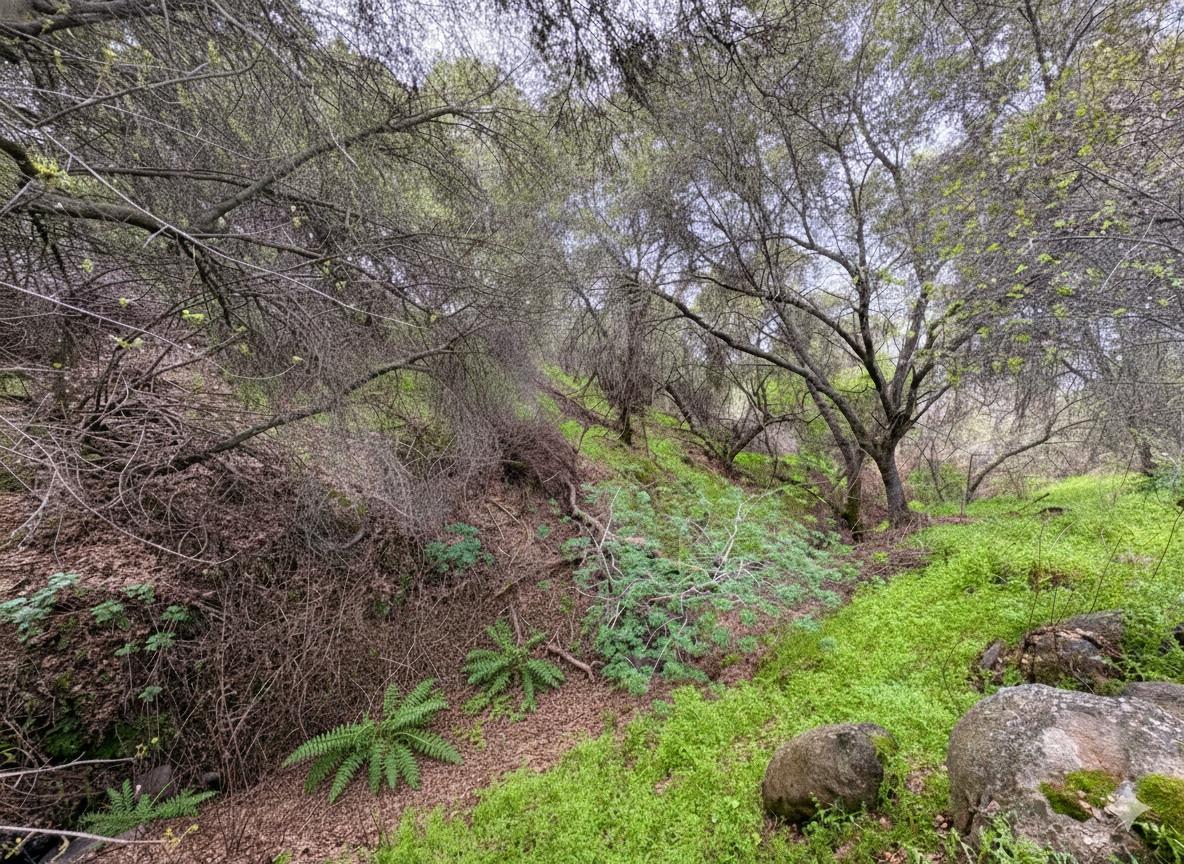 39313 Squaw Valley Road Squaw Valley, CA 93675 - Photo 35 of 38