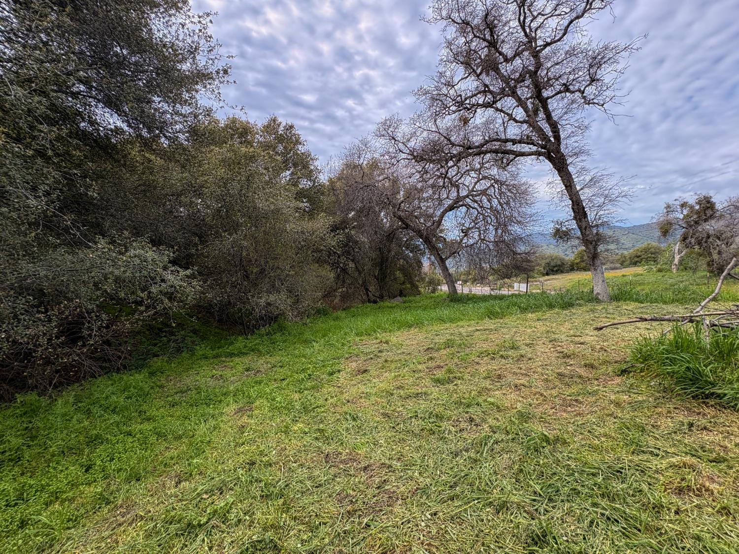 39313 Squaw Valley Road Squaw Valley, CA 93675 - Photo 36 of 38