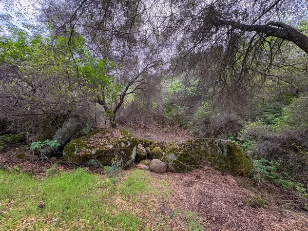 $335,000 | 39313 Squaw Valley Road, Squaw Valley, CA 93675