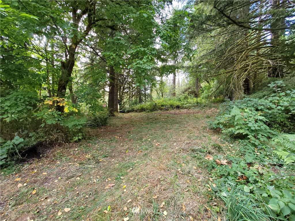 7808 Lewis River Road Ariel, WA 98603 - Photo 35 of 35 Gallery Image 35