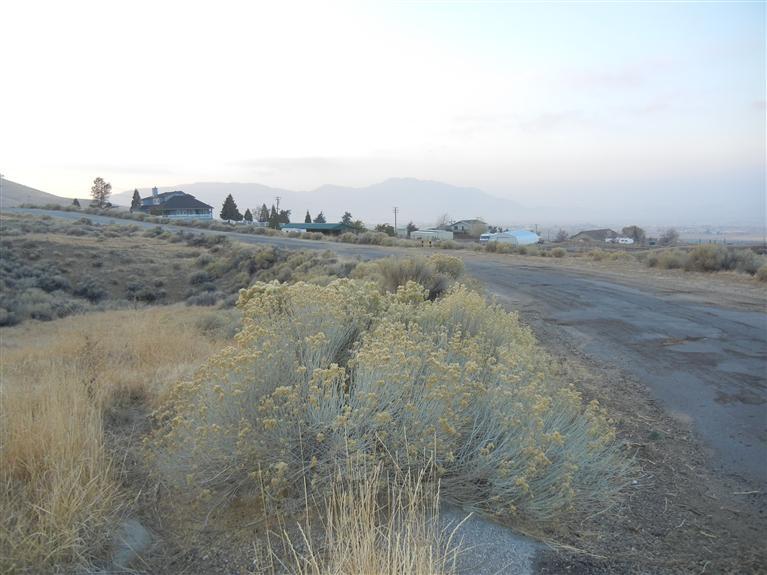 204 Klamath Tehachapi, CA 93561 - Photo 20 of 20 Gallery Image 20