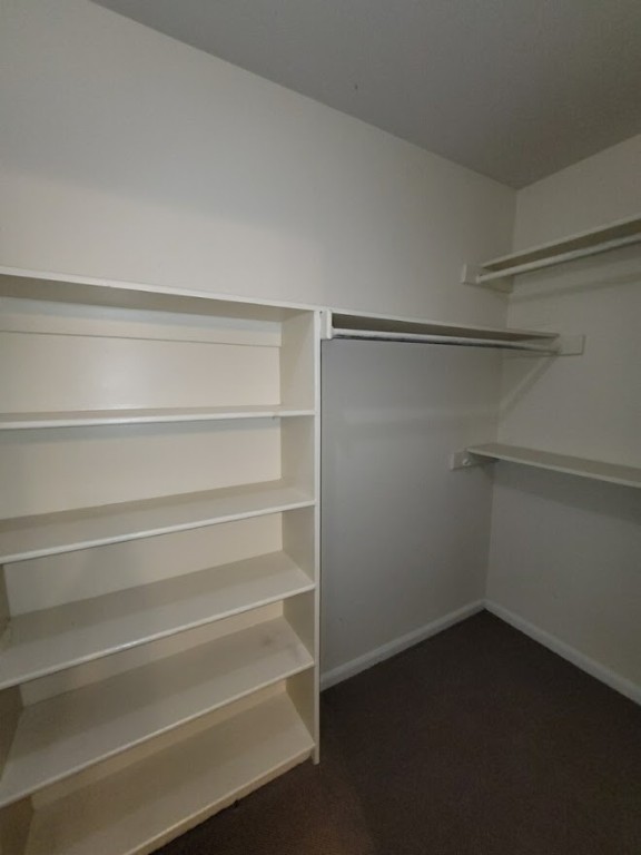 2529 Rio Grande Street, Unit 20 Austin, TX 78705 - Photo 12 of 19 a view of an empty walk in closet