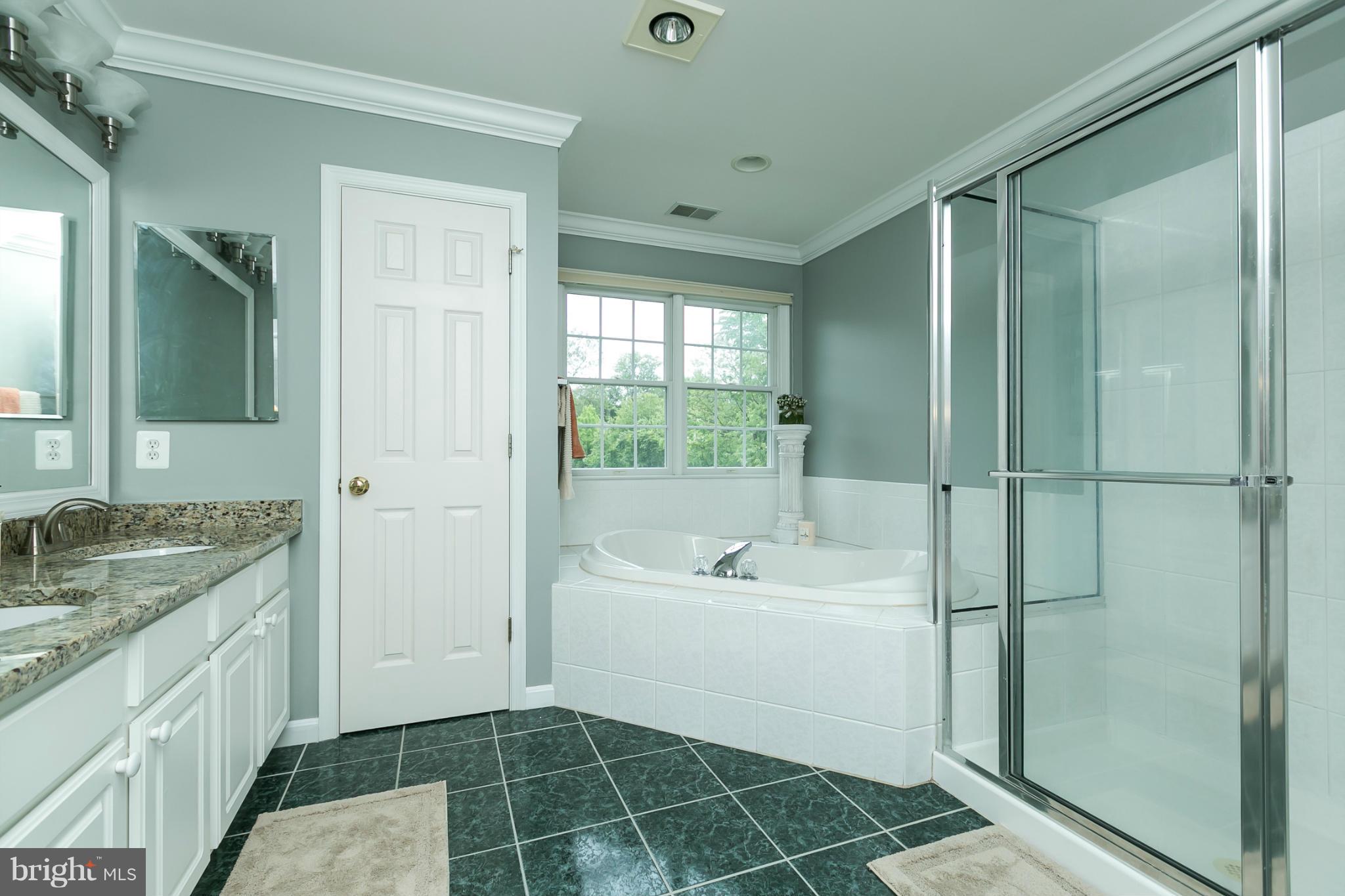 5052 Jericho Road Columbia, MD 21044 - Photo 18 of 30 Super bath-soaking tub,granite vanity,12x12 tiles