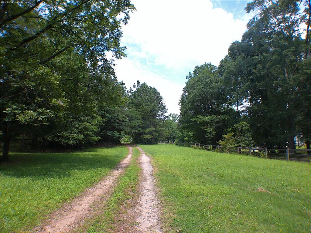 0 Mt Tabor Road Oxford, GA 30054 - Photo 3 of 8 a view of a garden with trees