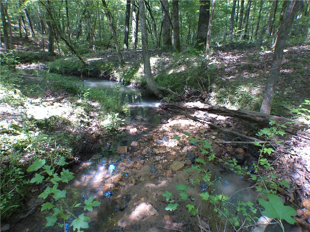 0 Mt Tabor Road Oxford, GA 30054 - Photo 4 of 8 a view of a forest