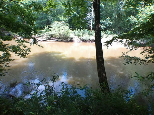 a view of a lake from a yard