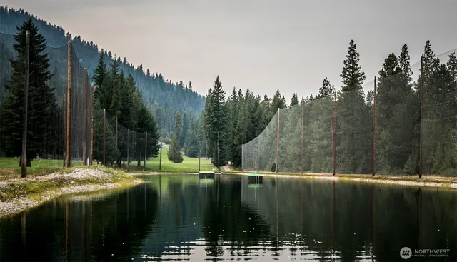 a view of outdoor space and yard