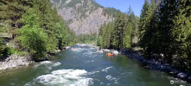 a view of the view of a yard