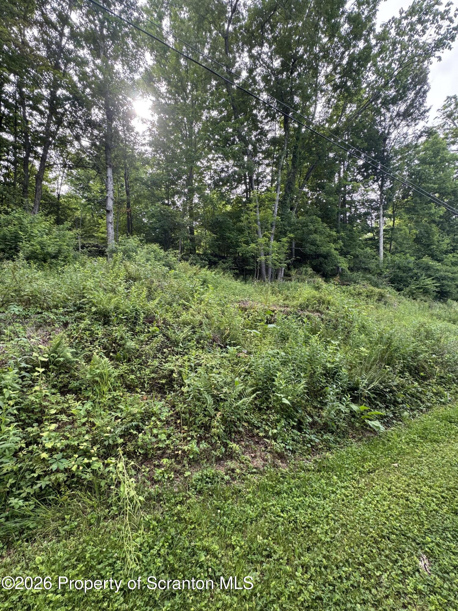 743 Pratt Hollow Road Nicholson, PA 18446 - Photo 57 of 68 Outside