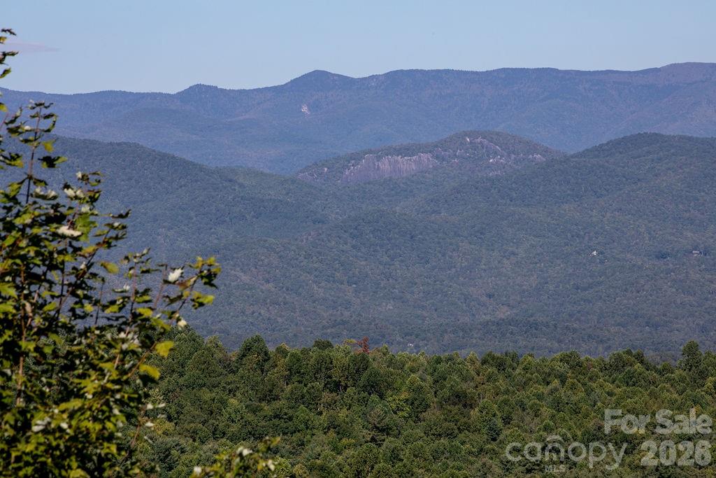 Tbd Rock Face Road, Unit L298 Brevard, NC 28712 - Photo 5 of 12 a view of a lush green hillside and a houses