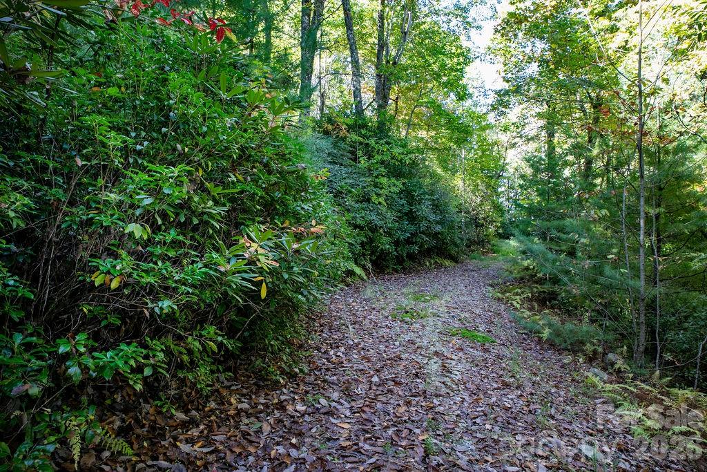 Tbd Rock Face Road, Unit L298 Brevard, NC 28712 - Photo 6 of 12 a view of a large yard with lots of bushes
