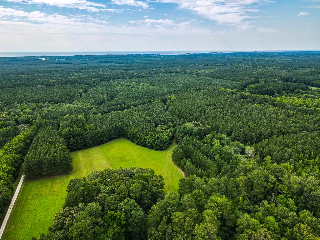 Lot 5 Mt Nebo Road, Unit 5 Onancock, VA 23417 - Photo 2 of 10