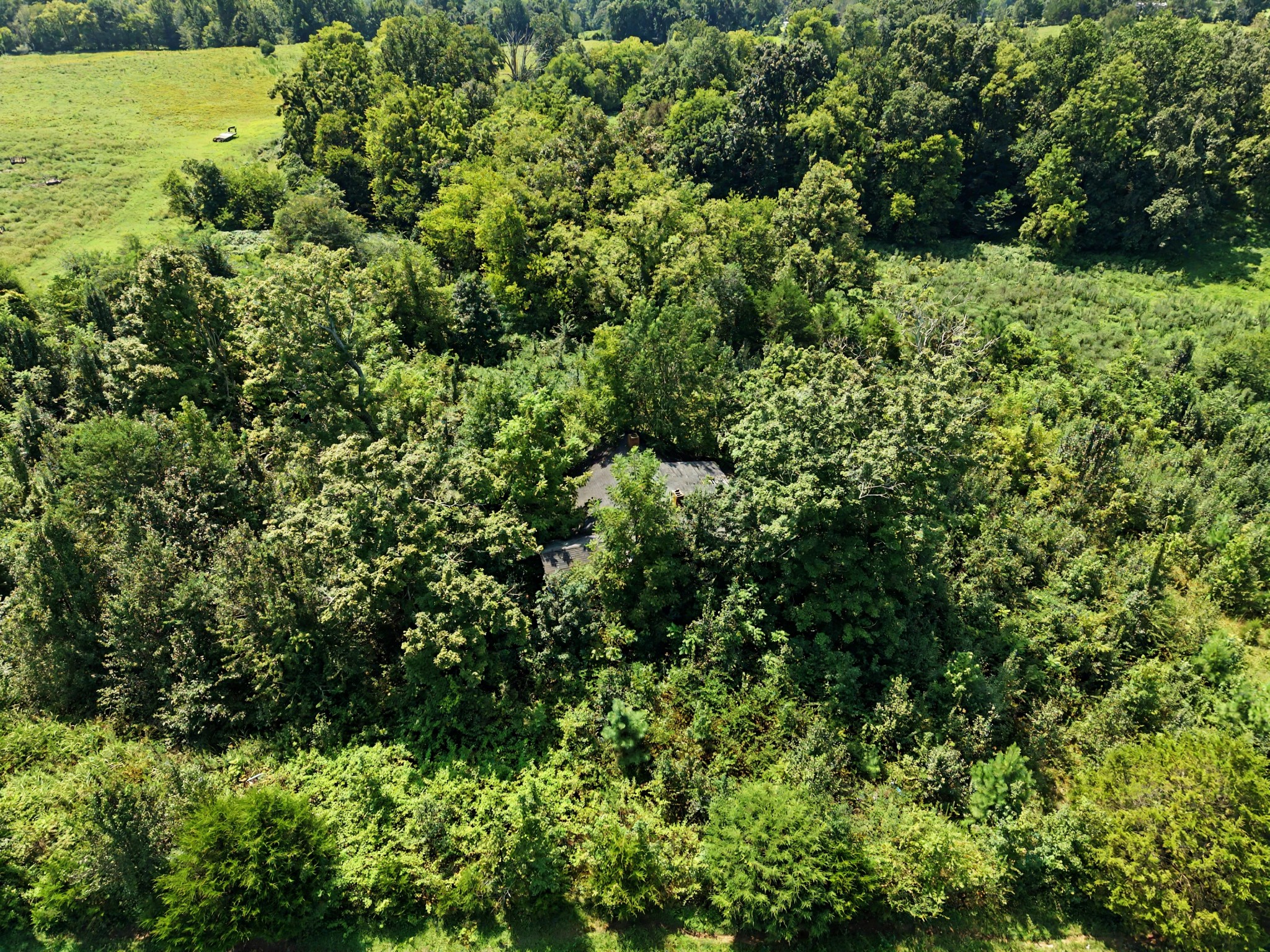 706 Liberty Road Prospect, TN 38477 - Photo 7 of 14 Gallery Image 7