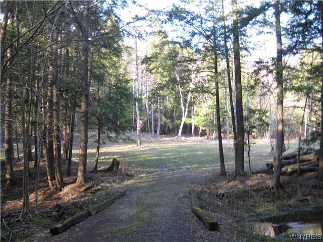 Exterior Front driveway