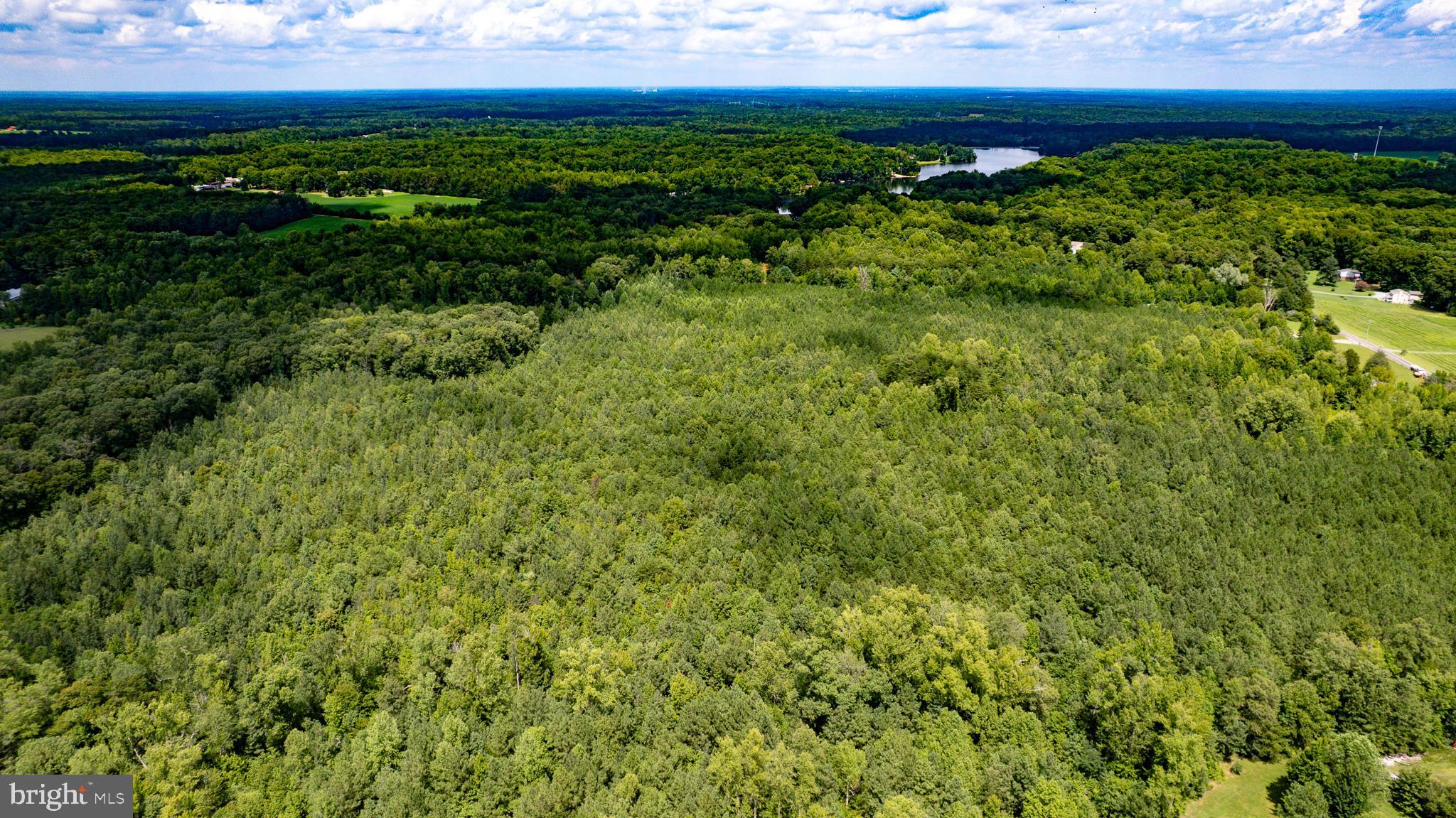 25.5-acres Ladysmith Road Ruther Glen, VA 22546 - Photo 6 of 42 Gallery Image 6