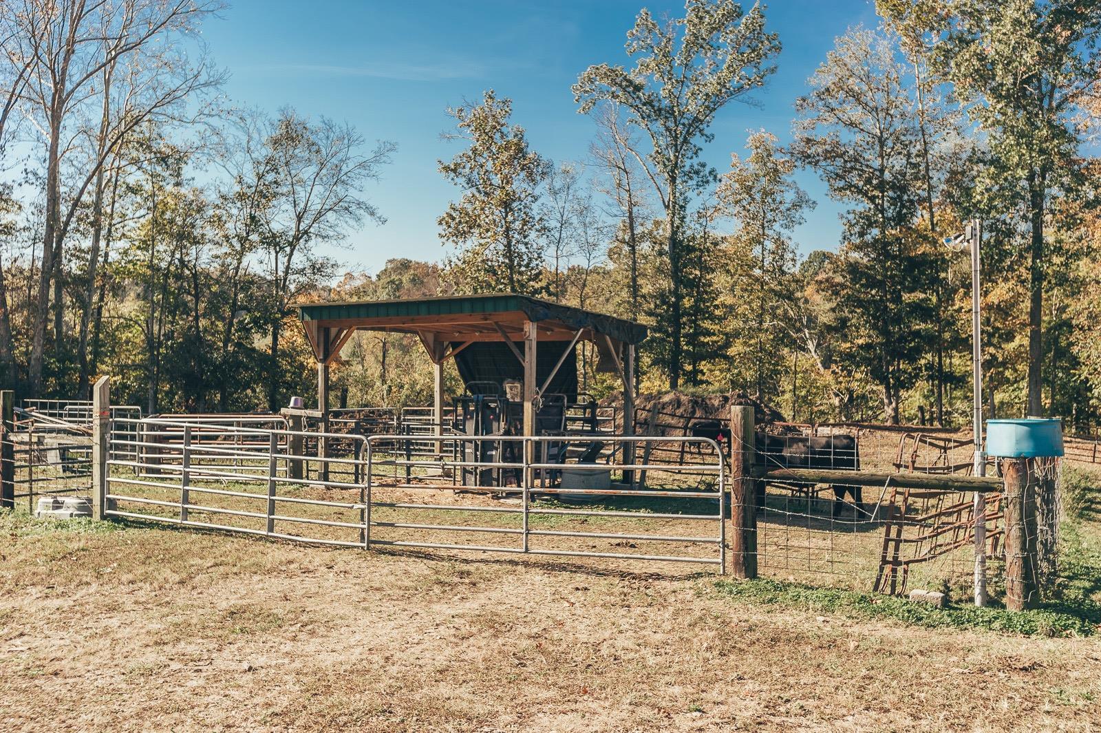 5223 Stacy Springs Road Springfield, TN 37172 - Photo 24 of 29 Gallery Image 24