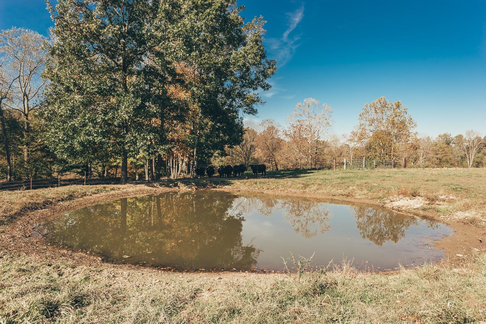 5223 Stacy Springs Road Springfield, TN 37172 - Photo 25 of 29 Gallery Image 25