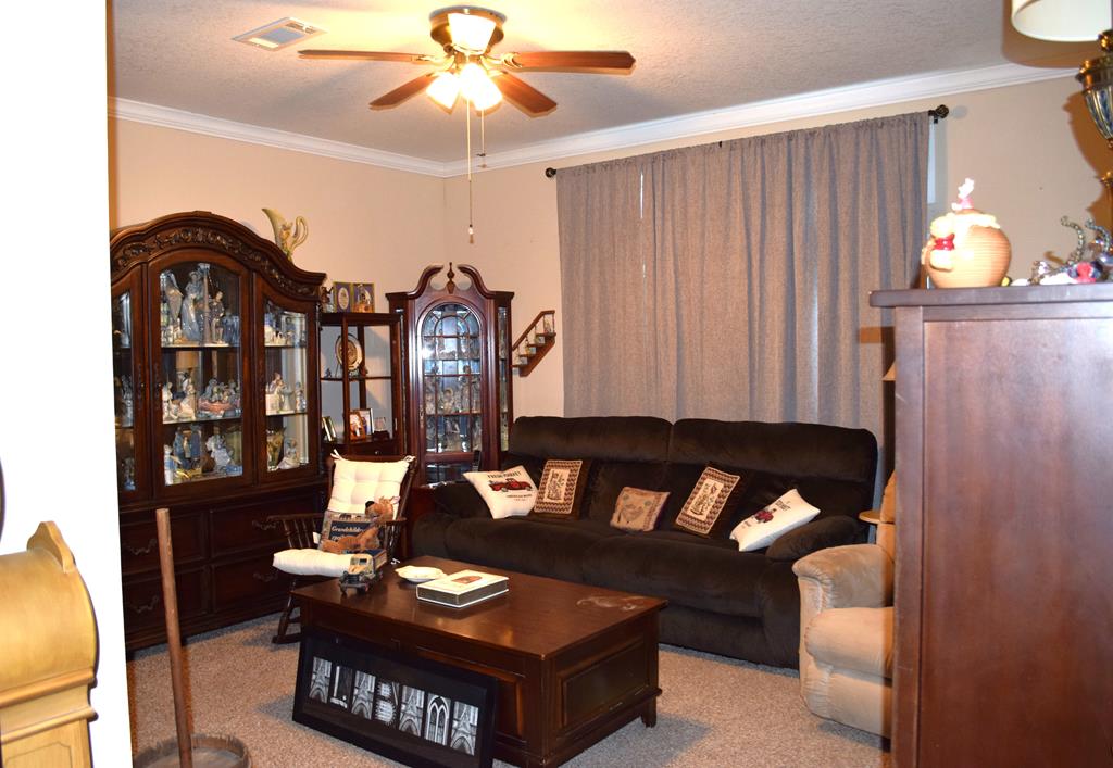 7252 County Road 49 Slocomb, AL 36375 - Photo 20 of 75