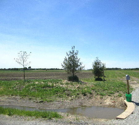 28600 South State Line Road Beecher, IL 60401 - Photo 1 of 5