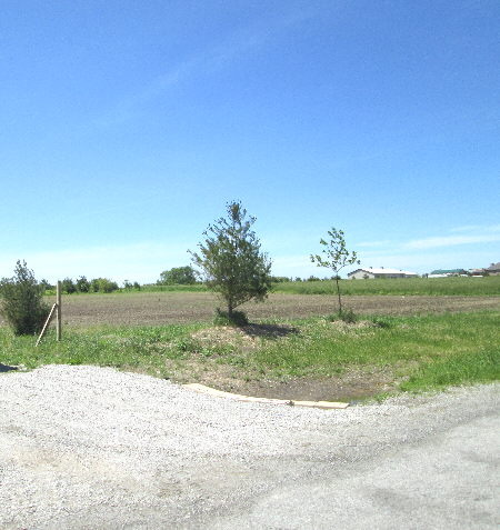 28600 South State Line Road Beecher, IL 60401 - Photo 2 of 5