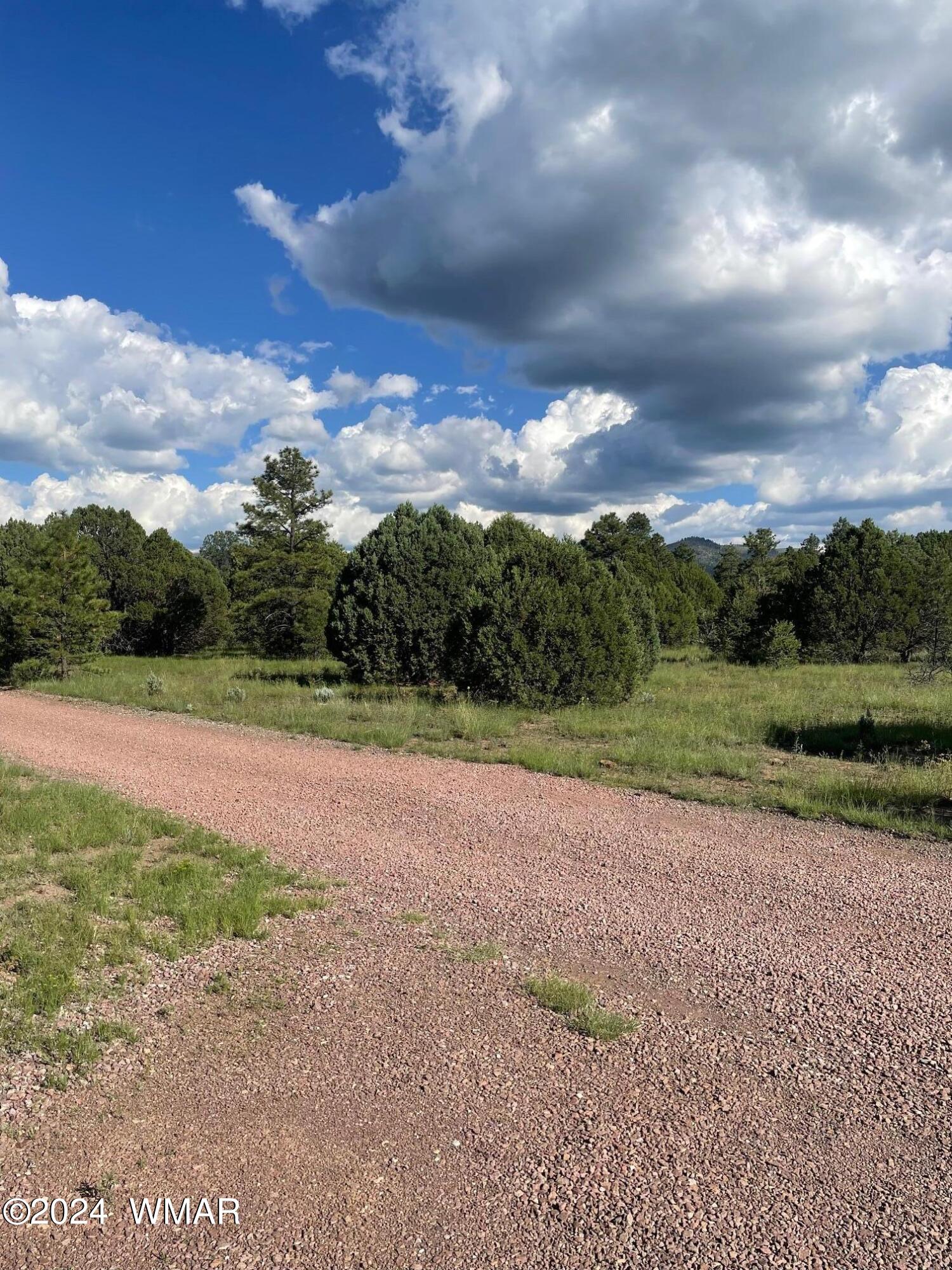 19 County Road Nutrioso, AZ 85932 - Photo 20 of 23 IMG_1228