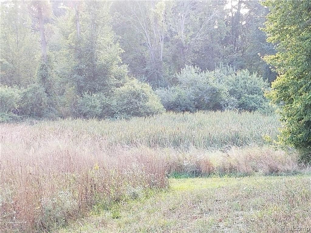 Parcel N Weller Gregory, MI 48137 - Photo 13 of 26