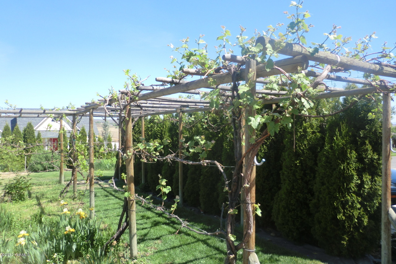12113 West Barrett Road Yakima, WA 98908 - Photo 33 of 36 a picture of flowers