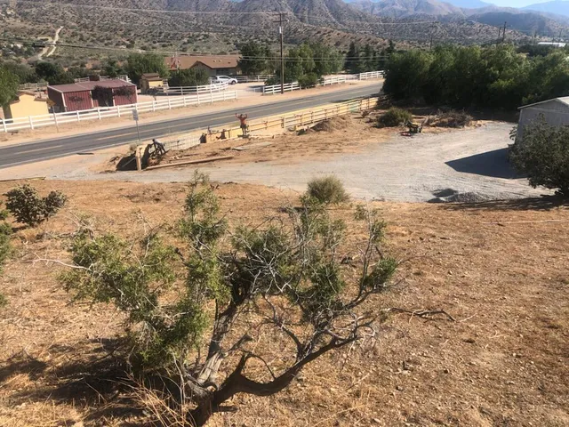 a view of a backyard of a house