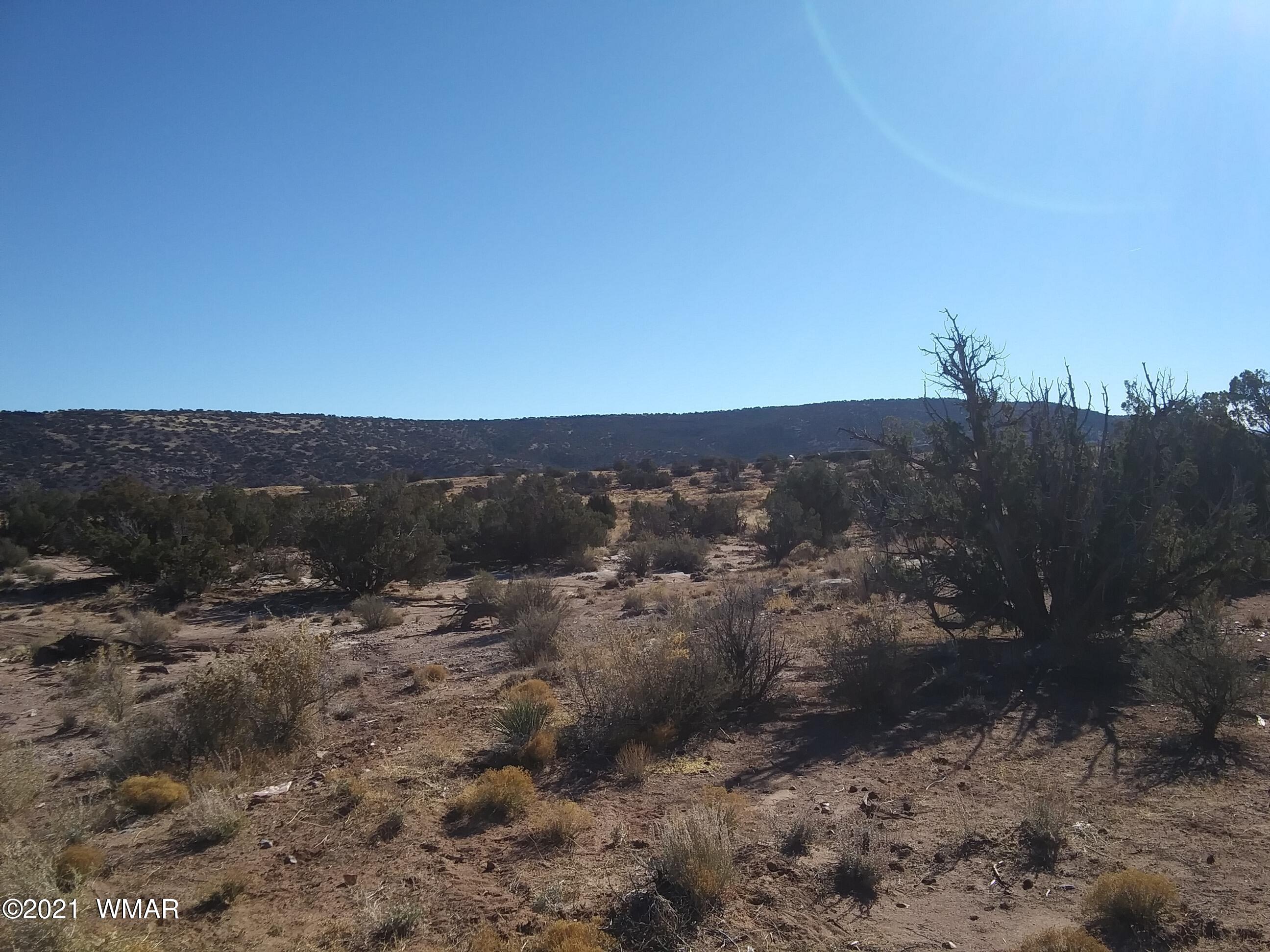4596 El Dorado Road Snowflake, AZ 85937 - Photo 11 of 32 a view of a dry yard with trees
