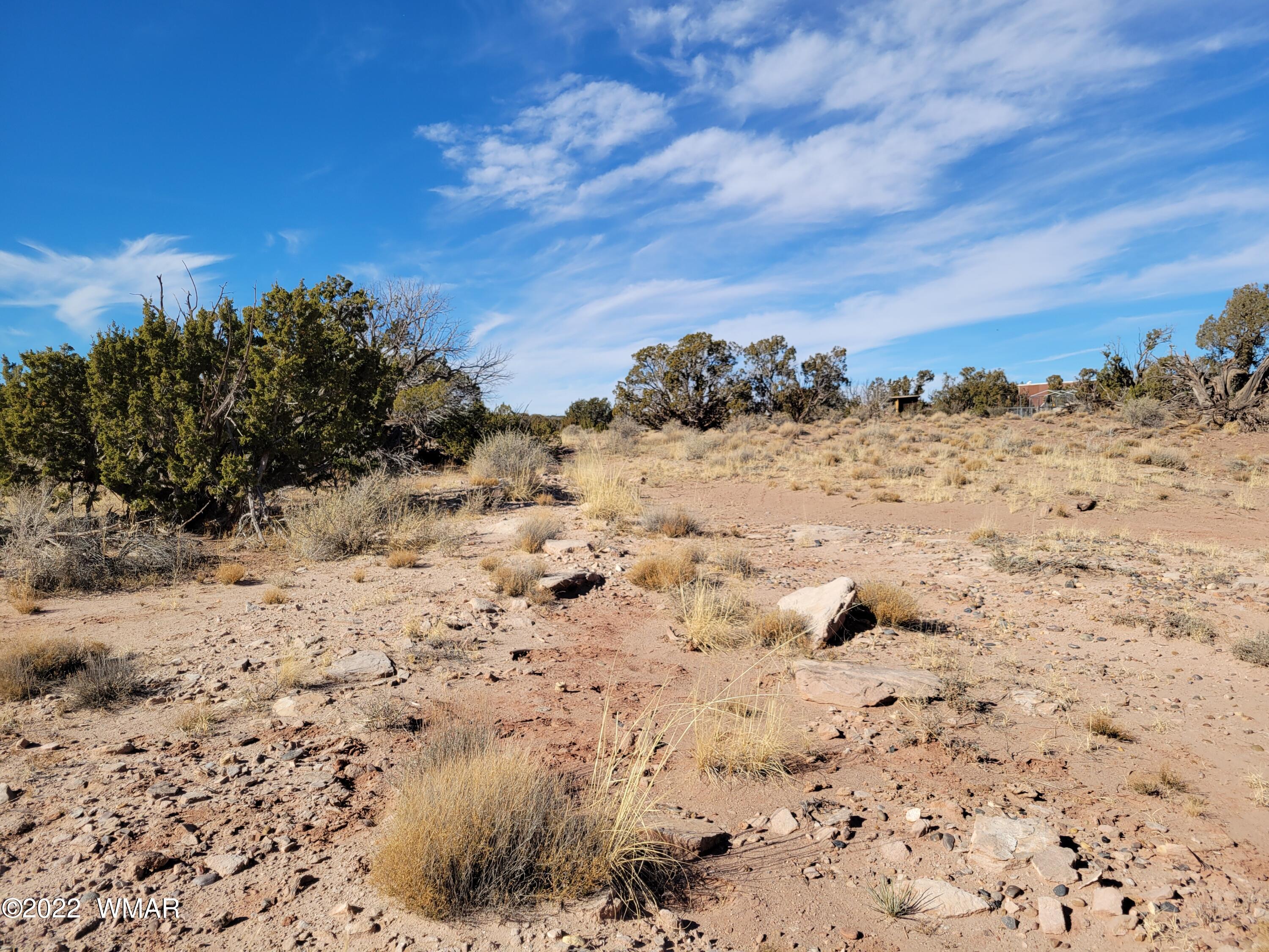 4596 El Dorado Road Snowflake, AZ 85937 - Photo 19 of 32 a view of a dry yard with a large tree