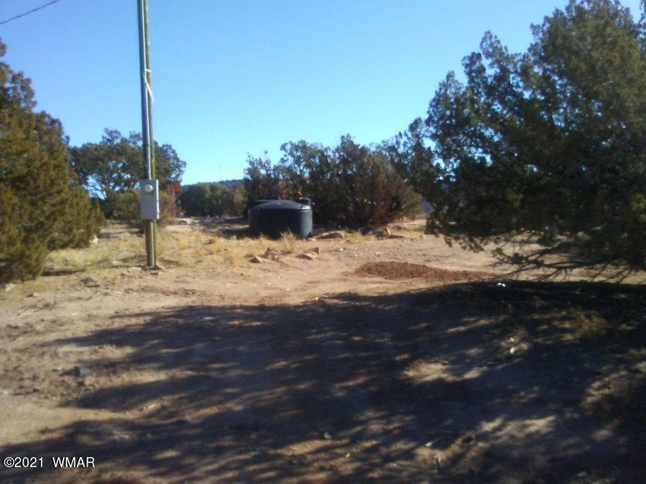 4596 El Dorado Road Snowflake, AZ 85937 - Photo 2 of 32 a view of back yard of the house