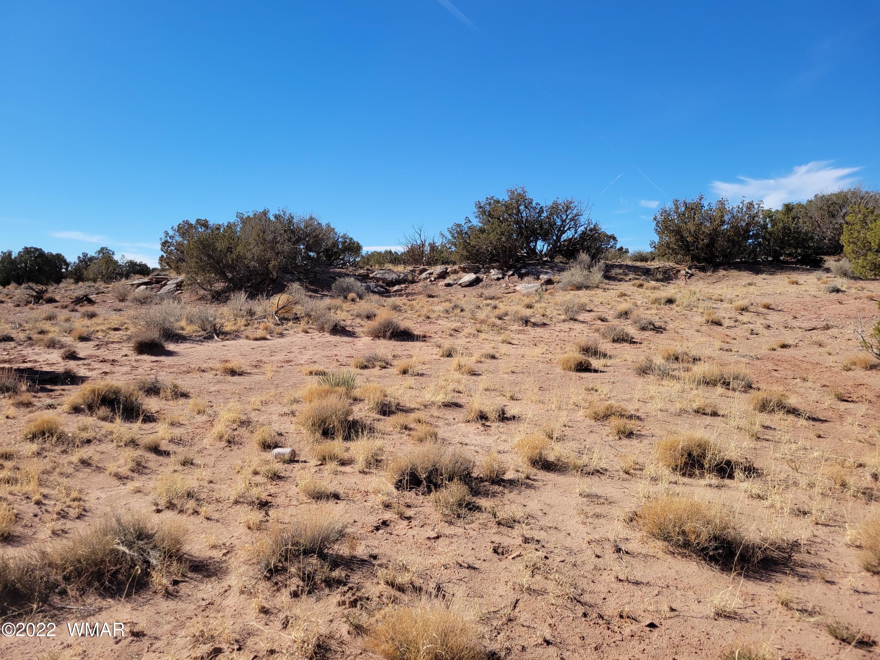 4596 El Dorado Road Snowflake, AZ 85937 - Photo 23 of 32 a view of a dry yard with trees