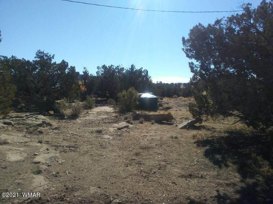 4596 El Dorado Road Snowflake, AZ 85937 - Photo 3 of 32 a view of a dry yard